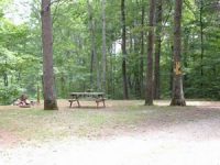 daddy rabbit campground-4.jpg